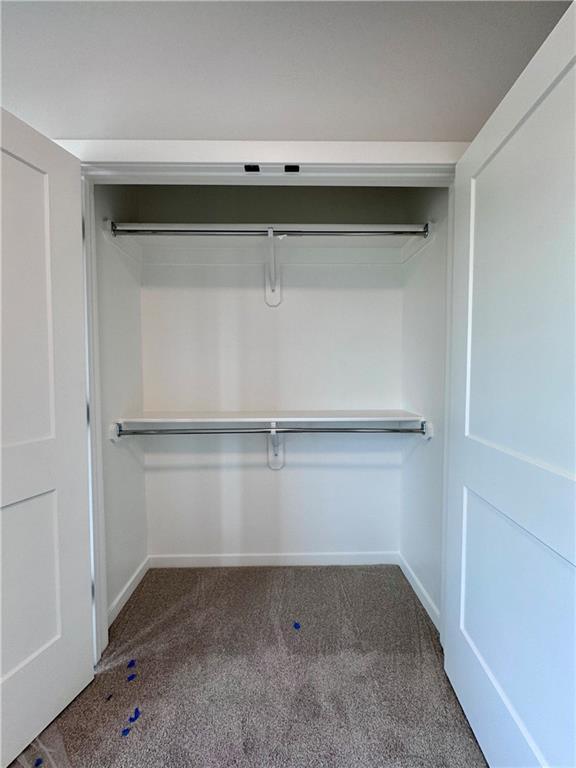 7719 NE 103rd Ter, Kansas City, MO 64157 - view of closet