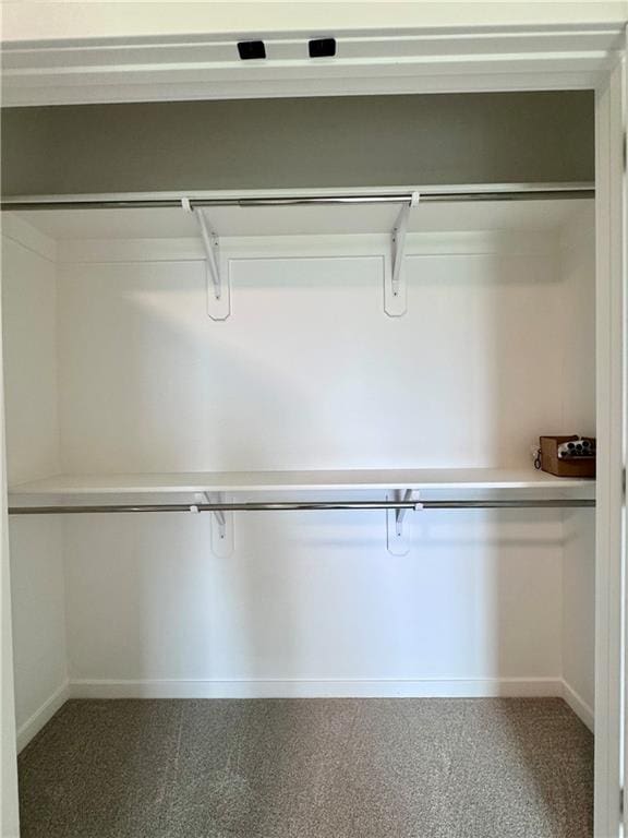 7719 NE 103rd Ter, Kansas City, MO 64157 - view of closet