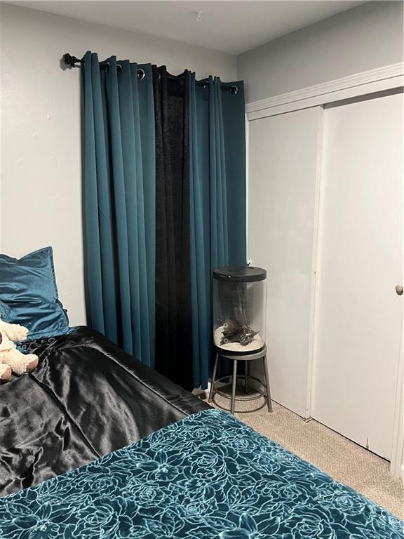 bedroom featuring a closet and carpet floors