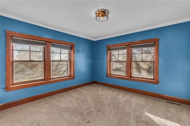 spare room featuring light carpet and ornamental molding