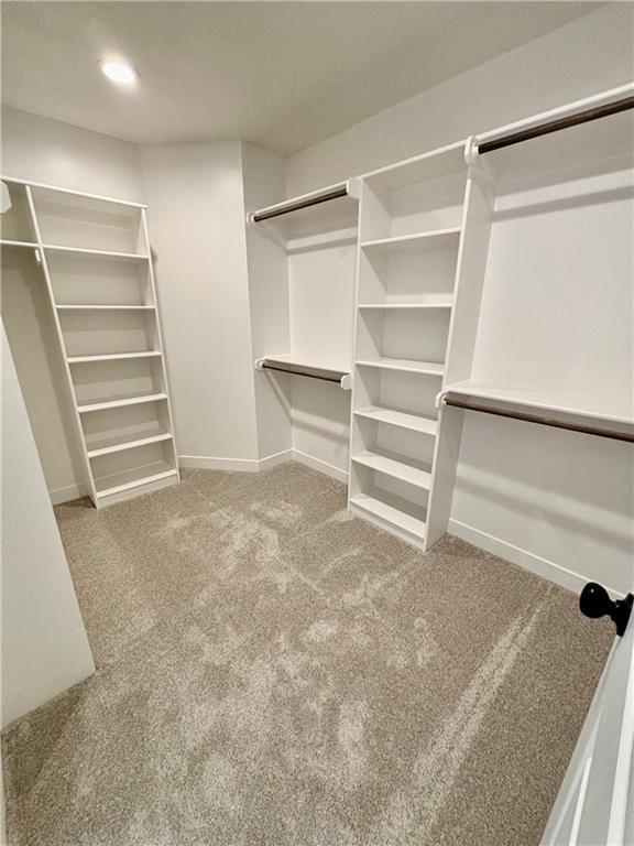 walk in closet with carpet