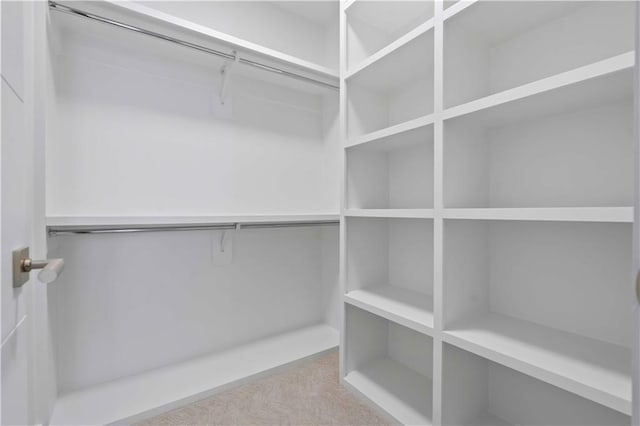 12604 W 160th St, Overland Park, KS 66062 - view of walk in closet