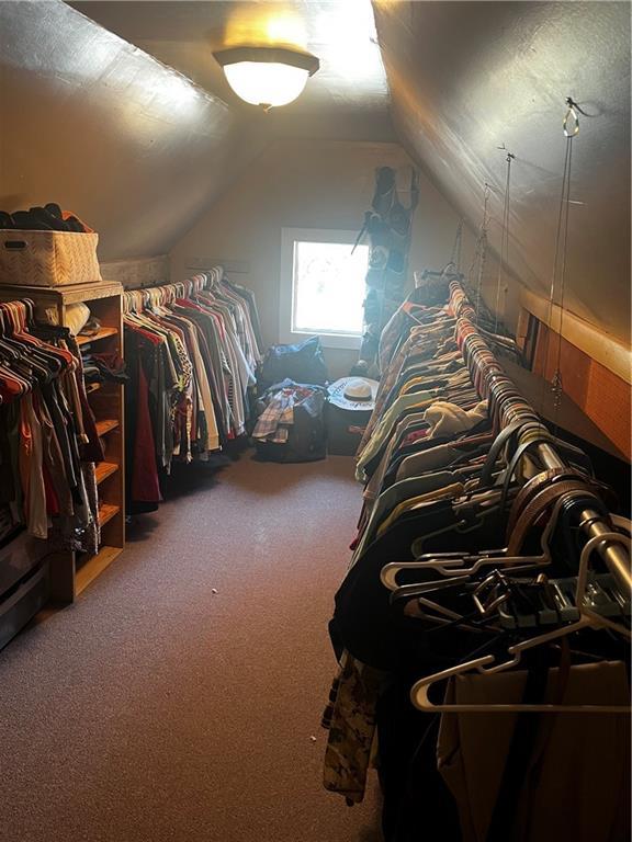 spacious closet featuring carpet flooring and vaulted ceiling