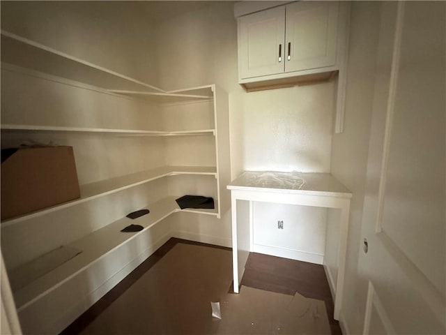 13408 W 178th St, Overland Park, KS 66013 - view of pantry
