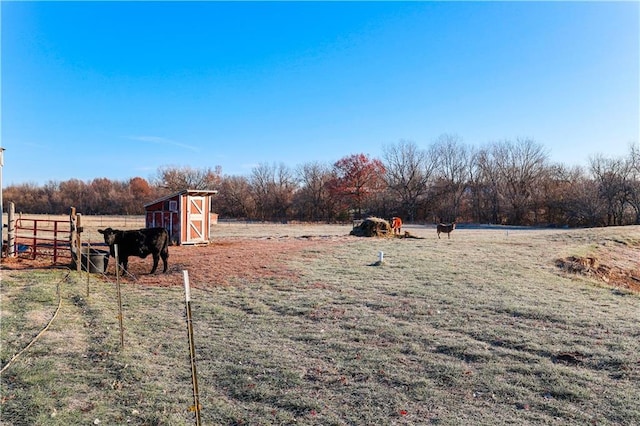 view of yard with an outbuilding and a rural view