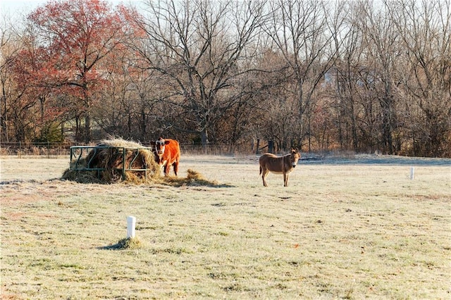 view of yard featuring a rural view