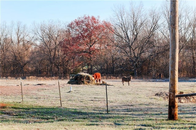 view of home's community featuring a rural view