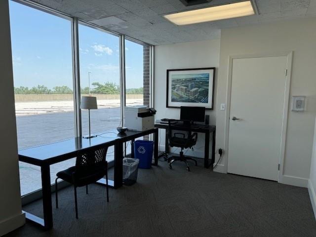 carpeted home office with floor to ceiling windows