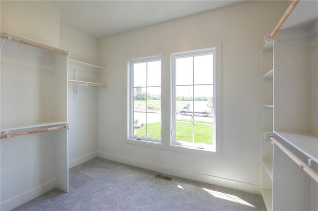 walk in closet with light carpet