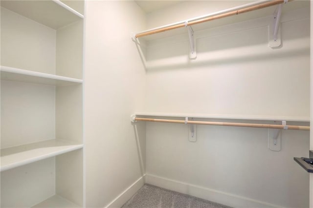 spacious closet with carpet floors