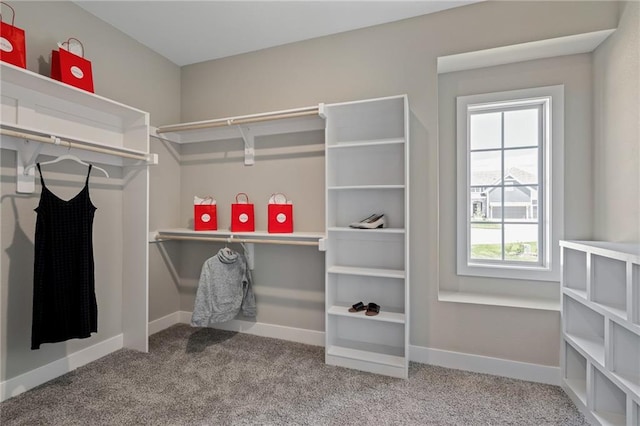 spacious closet with carpet