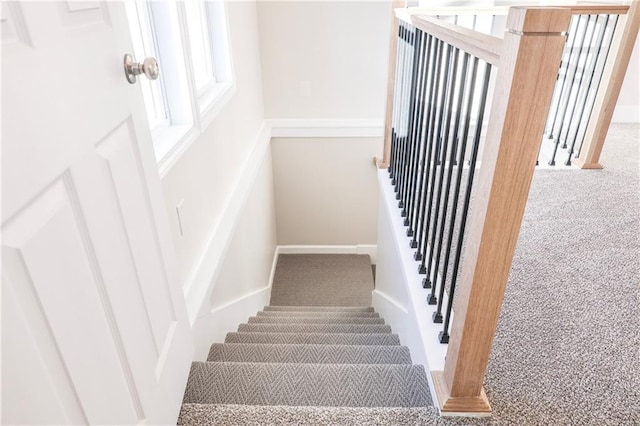 stairway featuring carpet and a healthy amount of sunlight