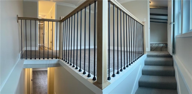 staircase with hardwood / wood-style flooring and crown molding