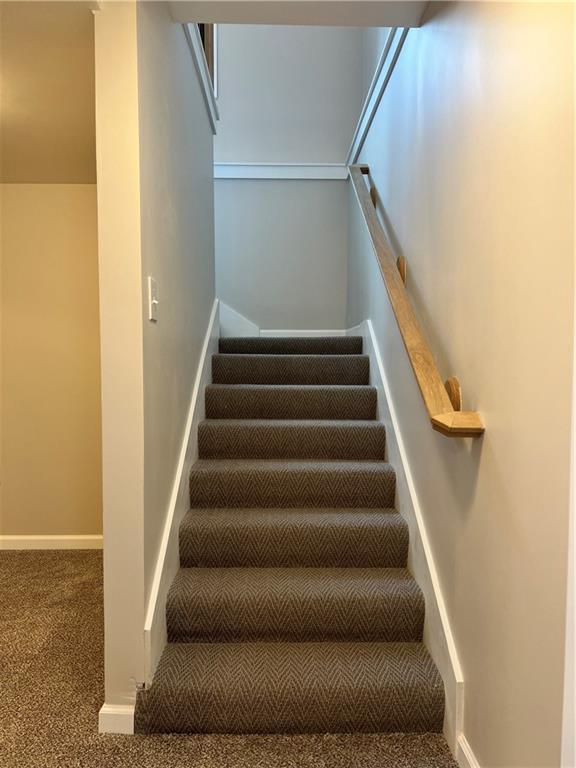 stairway featuring carpet