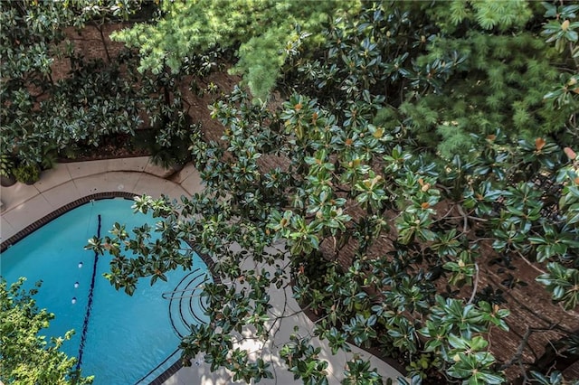 433 Ward Pkwy Unit 3S, Kansas City, MO 64112 - view of outdoor pool