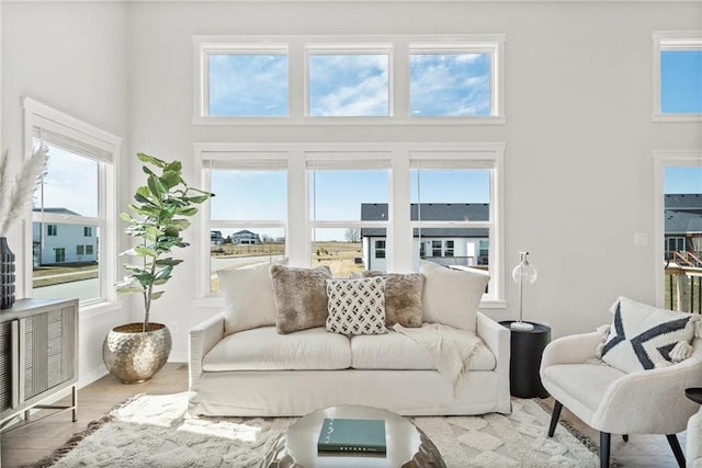 living room featuring hardwood / wood-style floors and a high ceiling