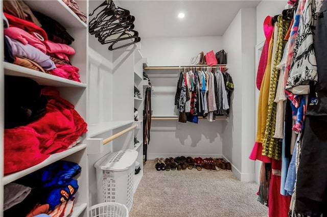 walk in closet featuring carpet flooring