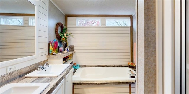 bathroom with vanity, wooden walls, plenty of natural light, and a tub