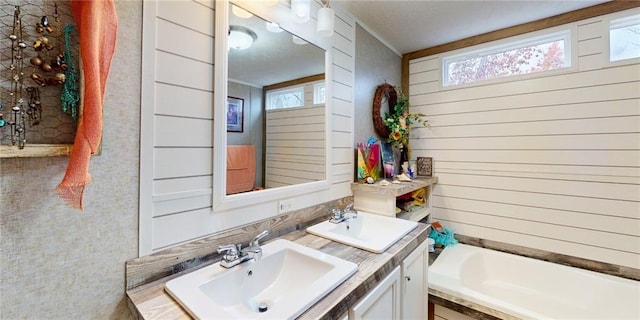 bathroom featuring vanity and a bath