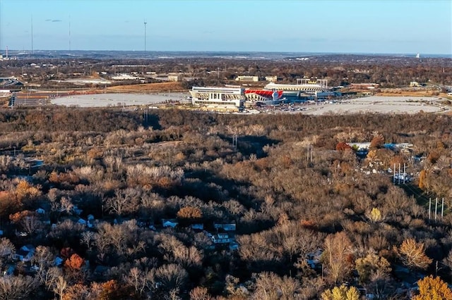 bird's eye view