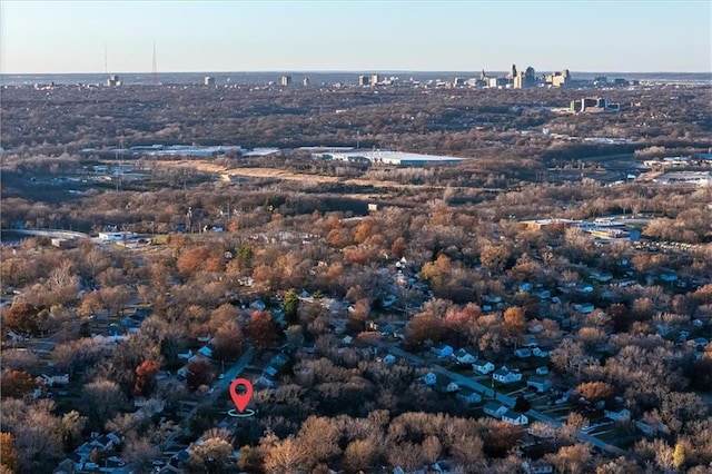 bird's eye view