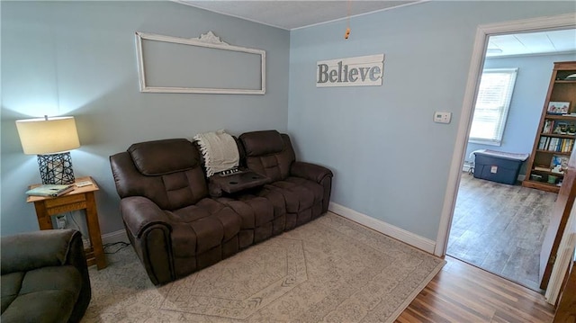 living room with wood-type flooring