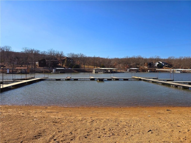 dock area with a water view