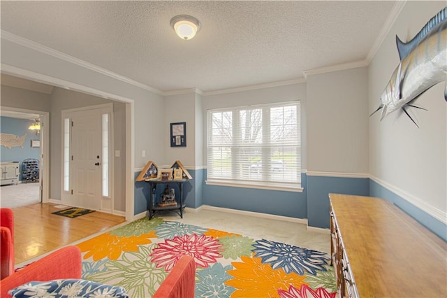 interior space featuring crown molding, light carpet, baseboards, and a textured ceiling