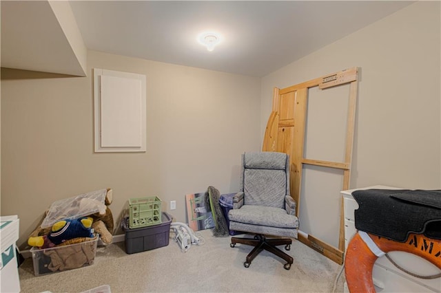 sitting room with carpet floors