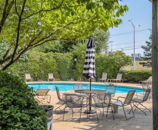 view of pool featuring a patio area