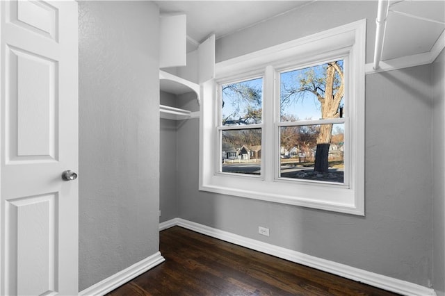 spacious closet featuring dark wood-type flooring