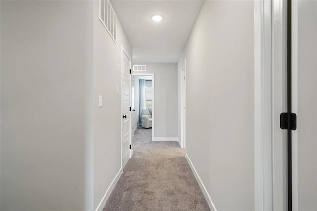 19719 W 195th Pl, Spring Hill, KS 66083 - hallway with carpet and baseboards