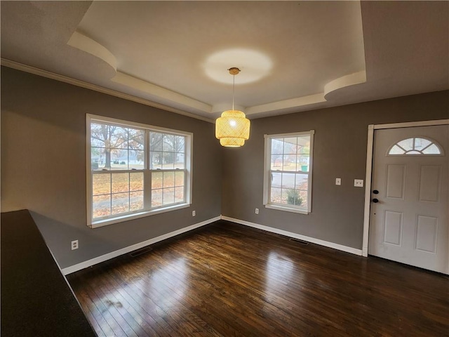 foyer featuring dark hardwood / wood-style floors and a tray ceiling