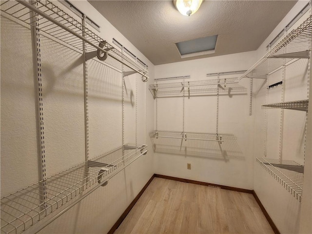 walk in closet with hardwood / wood-style floors