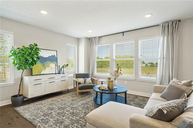 living room with dark hardwood / wood-style floors