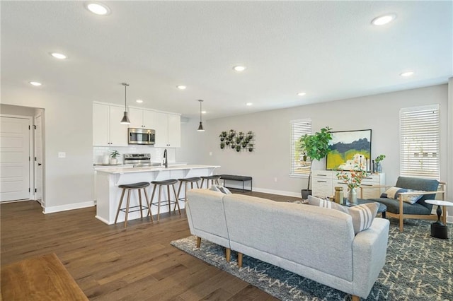 living room with dark hardwood / wood-style floors