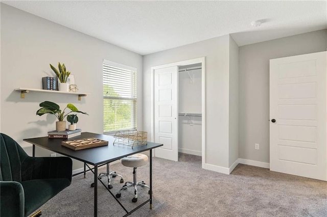 home office with light colored carpet