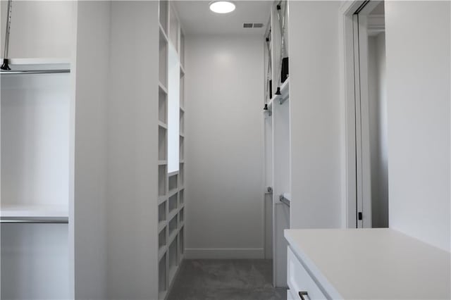 21513 W 80th Ter, Shawnee, KS 66220 - walk in closet with carpet flooring