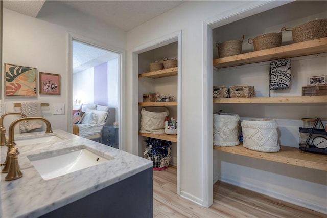 bathroom with vanity and wood-type flooring