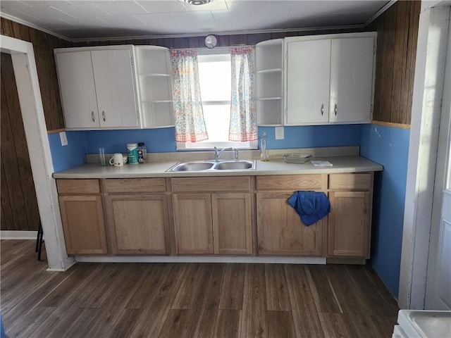 kitchen with dark hardwood / wood-style flooring, ornamental molding, and sink