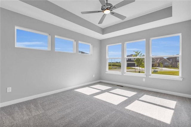 unfurnished room featuring a tray ceiling, carpet, and baseboards