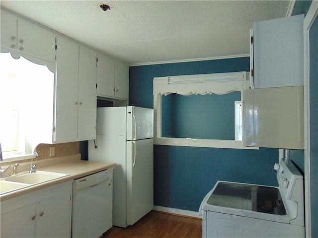 kitchen with dark hardwood / wood-style flooring, white appliances, a textured ceiling, sink, and white cabinetry