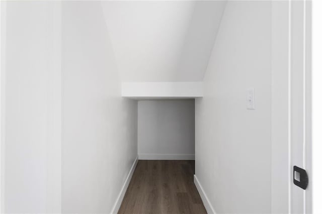 walk in closet featuring dark wood-type flooring and vaulted ceiling