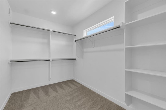 walk in closet with carpet flooring