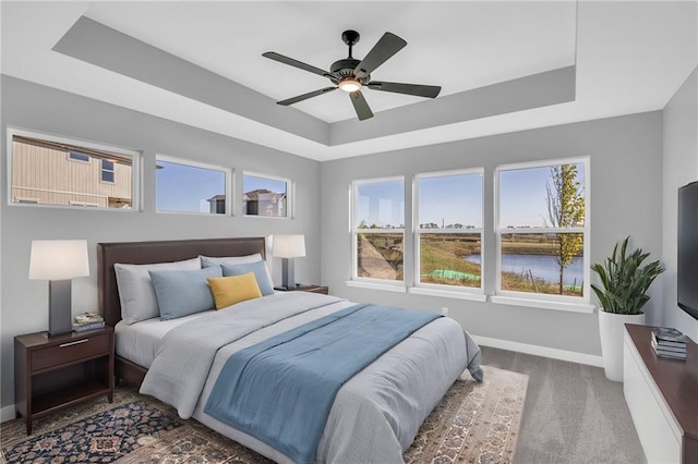 17752 Houston St, Gardner, KS 66030 - bedroom featuring a raised ceiling, multiple windows, carpet flooring, and a ceiling fan