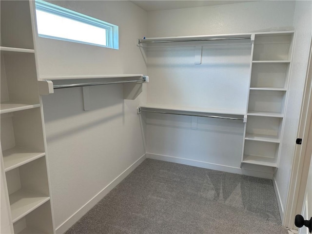 17752 Houston St, Gardner, KS 66030 - walk in closet with carpet
