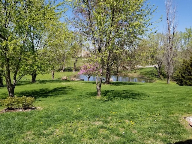 view of yard with a water view