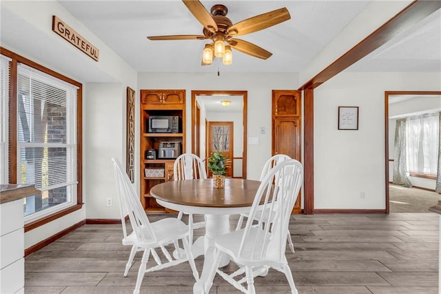 dining room with plenty of natural light, light hardwood / wood-style floors, and ceiling fan