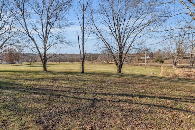 view of yard featuring a rural view