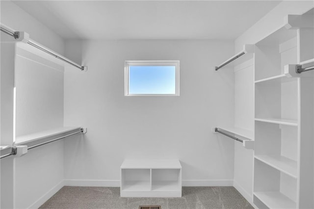 walk in closet featuring light carpet